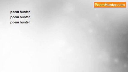 Anonymous Light - n-a