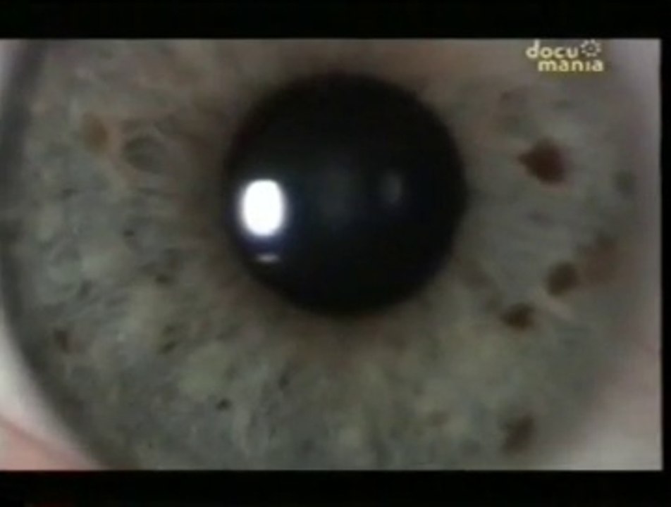 Infrasonidos y fenomenos "paranormales"