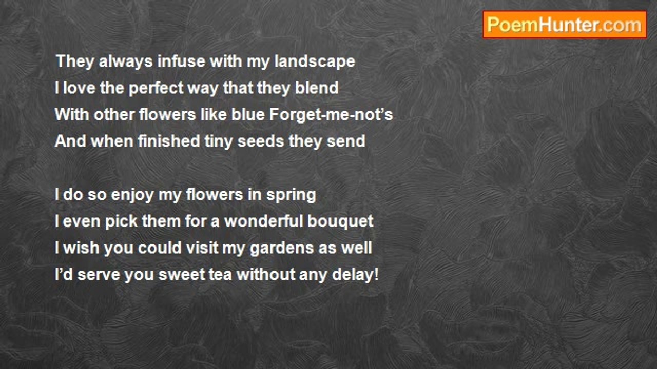 Marilyn Lott - My Sweet Violets