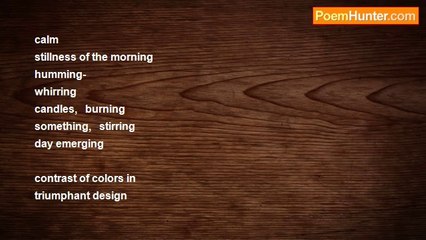 Kristin Schanbacher - emerging