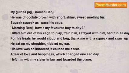 Deborah Ashdown - The Loss Of Benji