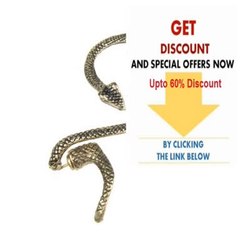 Best Deals BestDealUSA Cool Gothic Twine Wind Temptation Curve Snake Ear Stud Cuff Earring Bronze Review