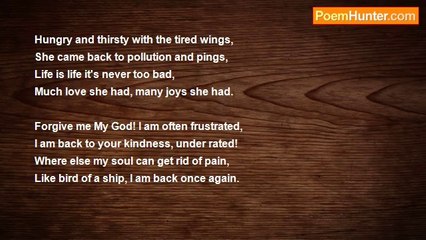 Akhtar Jawad - The Bird of A Ship