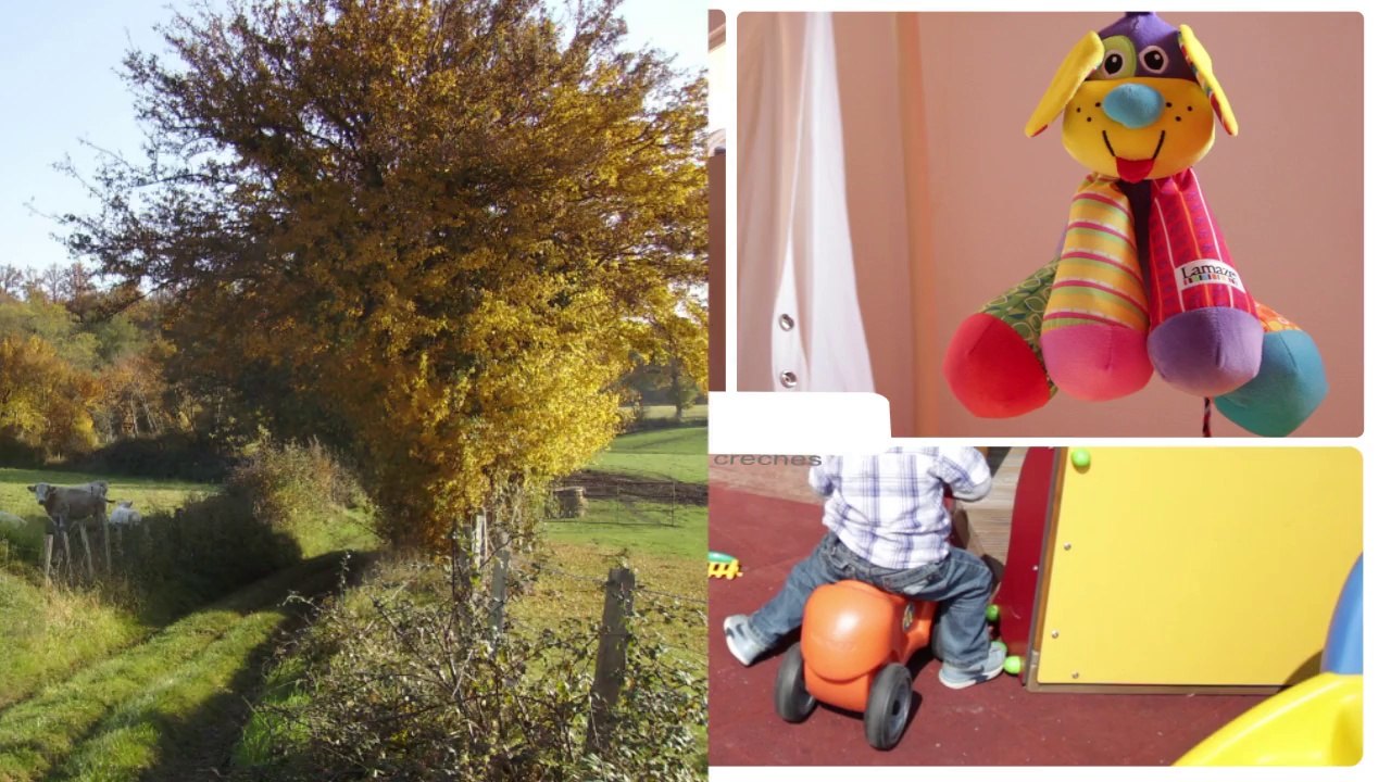 Entreprendre dans le Perche : créer, reprendre, développer une entreprise, implanter son activité