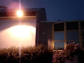 Jump Julian: Saut inattendu sur le toit du palais