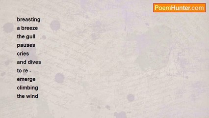 Liam ó Comáin - THE SEAGULL