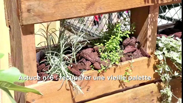 Jardins, Jardin : 6 astuces pour créer un potager hors-sol