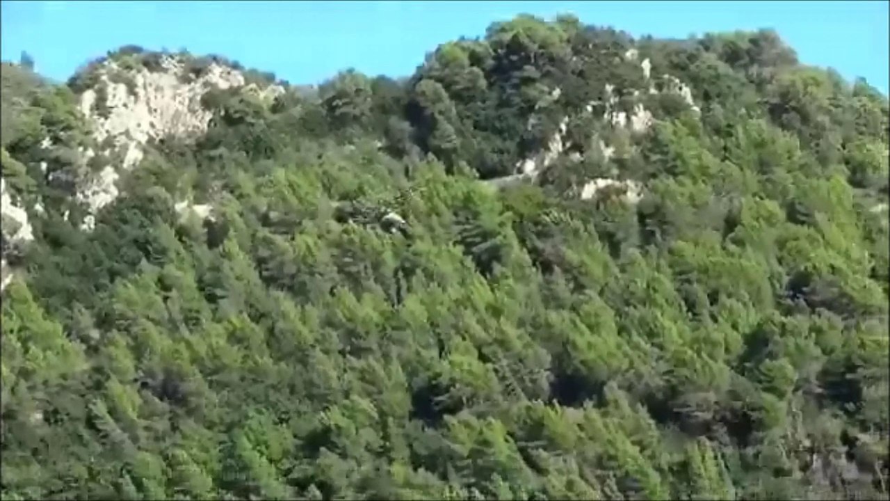 piroflip practice ! hélico rc !