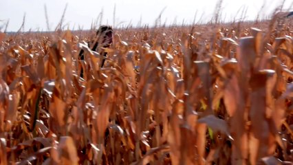 Revolution - saison 2 - Trailer officiel - NBC (HD)