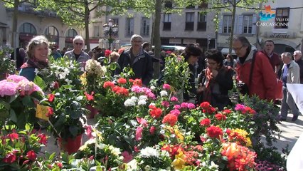 Les villes étapes 2014 : visitez Carcassonne