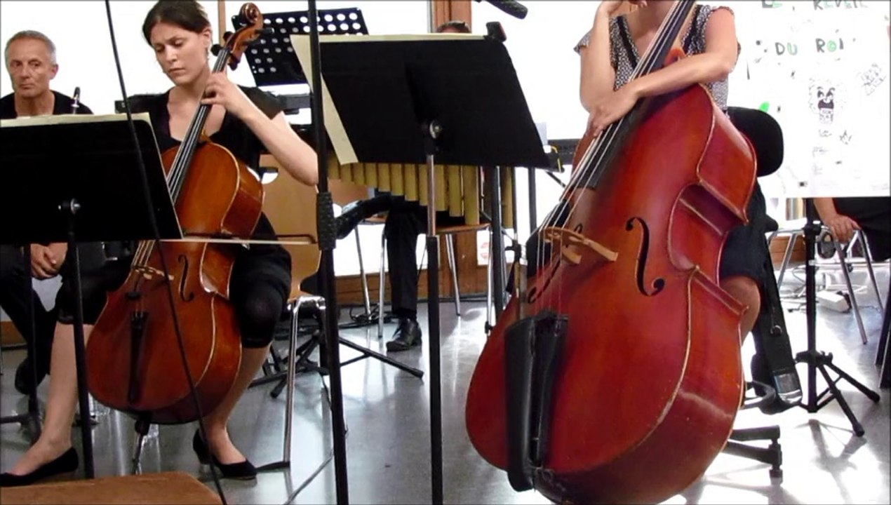 14-06-11 Carnaval animaux le cygne Daphné Charpentier