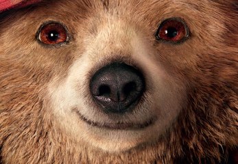PADDINGTON - Bande-annonce [VF|HD] [NoPopCorn]
