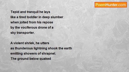 Birgitta Heikka - The Station on Bishop Street