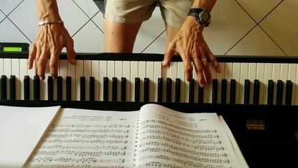 10-Un vent léger(Répertoire complémentaire-Série 2)