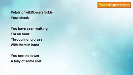 Shelley Jones - Petals of wildflowers tickle