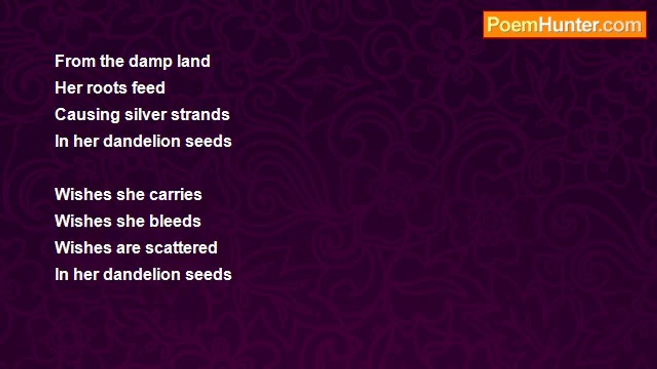 Whitney Albright - Dandelion Seeds