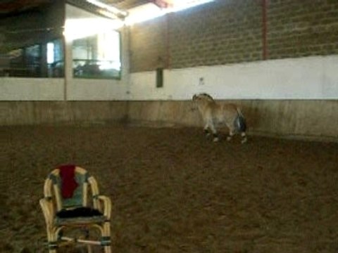 lou qui passe les barres au sol