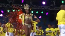 COUPE DU MONDE BRESIL 2014: Fiesta au Bresil