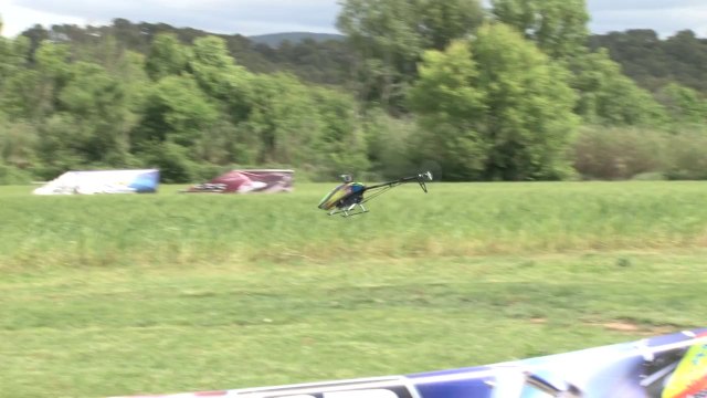Align-Trex 550 Pro DFC flying 3DCUP 2014 1ere Manche (LE MUY)
