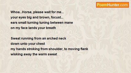 Kiley Castille's Heartfelt Tribute to Horse Love 🐴