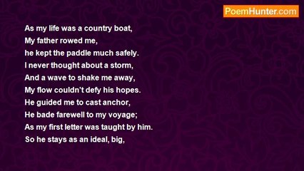 fayeda vanimel - THE SMALL BIG THINGS