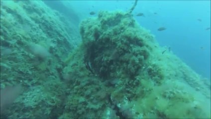 Plongée du 24 Mai 2014