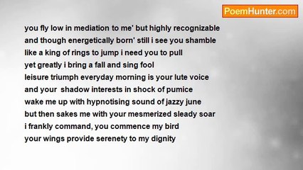 Anele ''The African Son'' kaPotelwa - My Bird