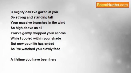 Mike Kosman - Mighty Oak