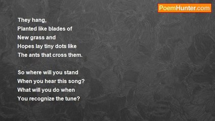 Tsani Jones - Songs of Trees