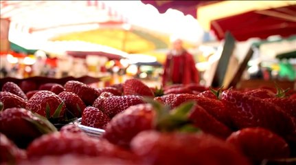 Les villes étapes 2014 : visitez Périgueux