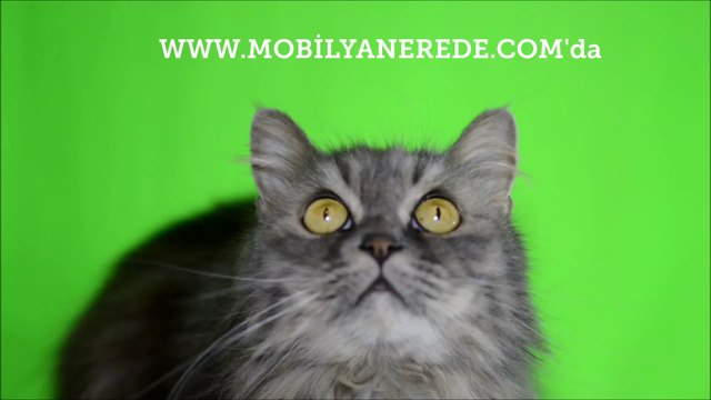 Ev Dekorasyon Siteleri - Mobilya Dekorasyon