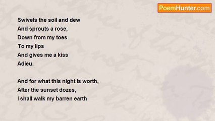 K. Jared Hosein - (Loss)    Roses