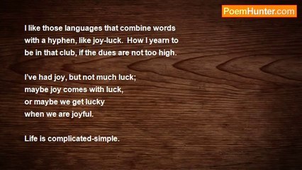 Sonny Rainshine - Hyphenated Happiness