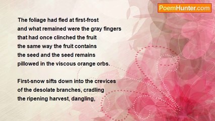 Sonny Rainshine - American Persimmon Tree Against Snow