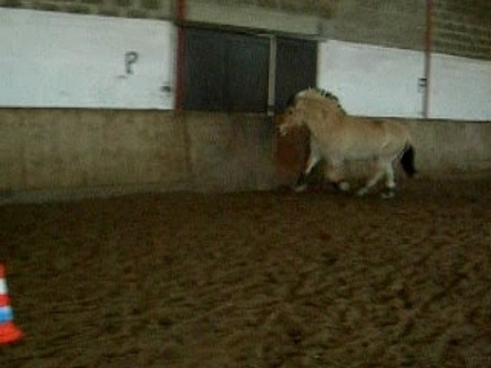 lou qui saute...