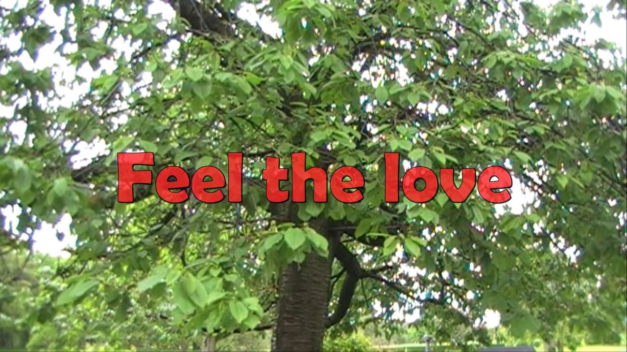 Feel The Love