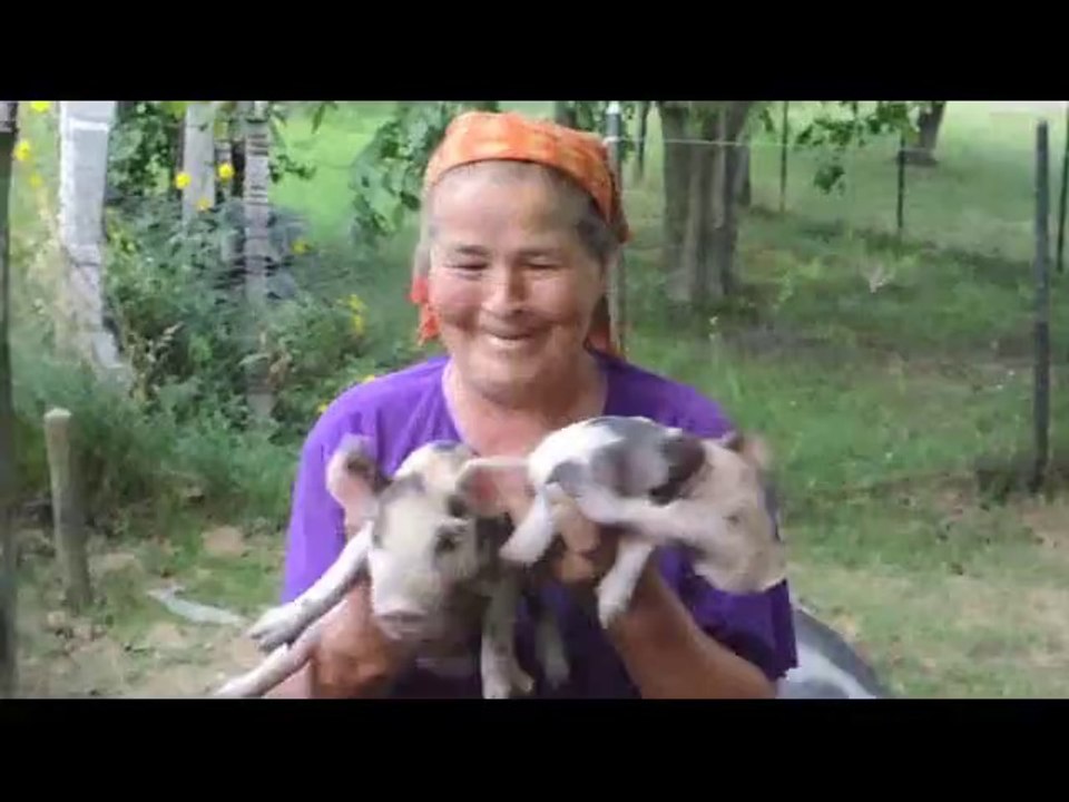 Romania de vanzare