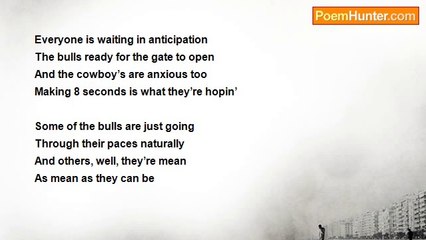 Marilyn Lott - Bull Riding Fun