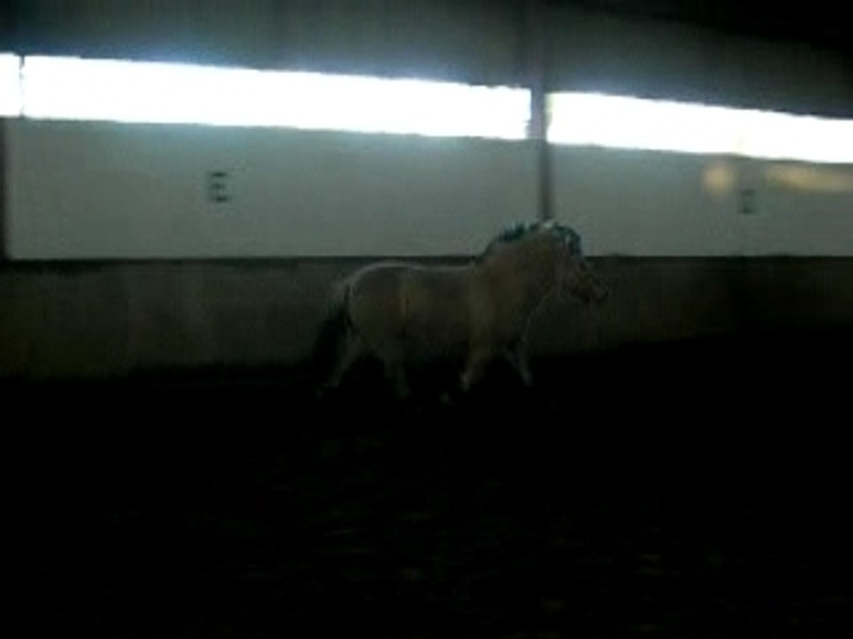 Lou saut 50cm!!