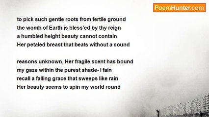 Wes Thompson - My Pocket Was Her Undoing- On A Lovely Sunny Day