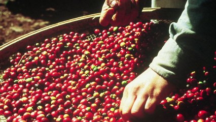 A bruxa está solta para duas gigantes da bolsa