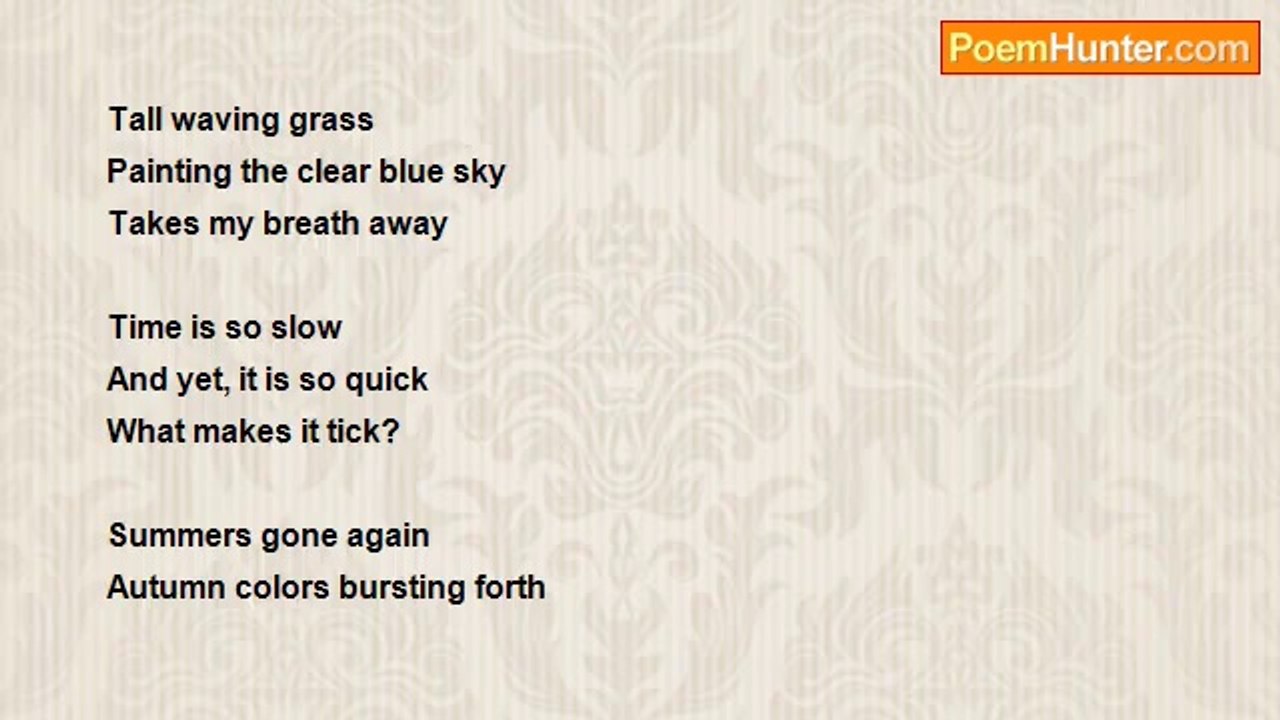 Terry Brewer - Haiku 3