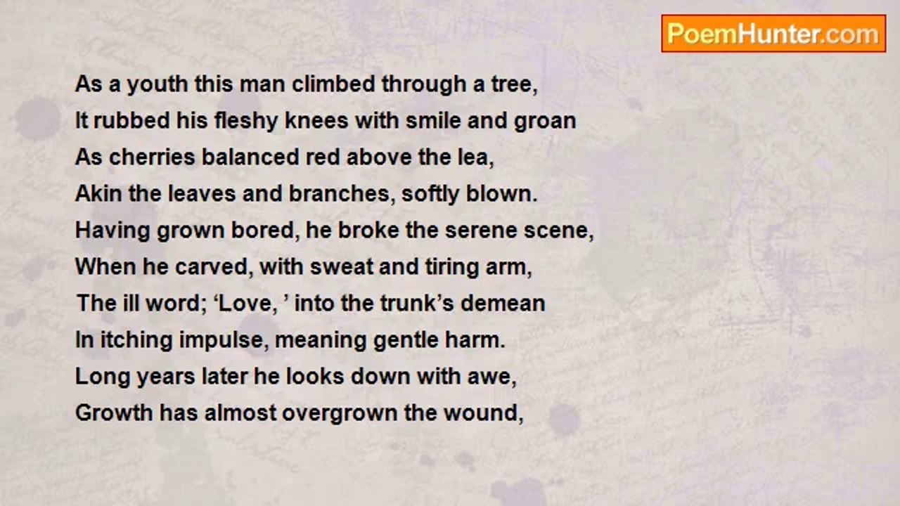 Sean Godley - Stark Branches