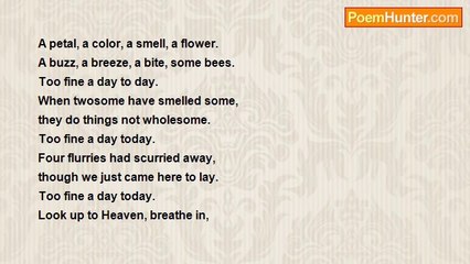 S.W. Clark - Our Walk in the Woods