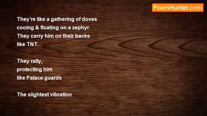 Joyce Chelmo - Gathering