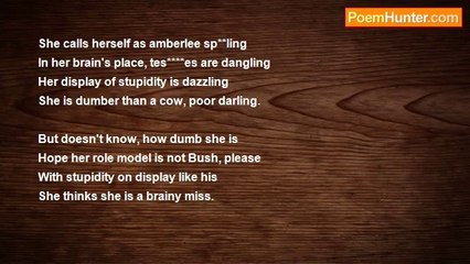 Vikram G. Aarella - Of An American Cow and Stupidity