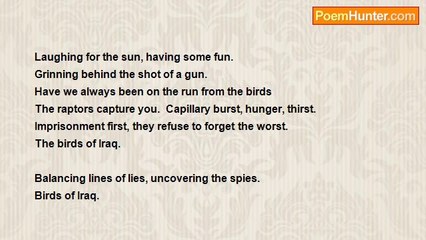 Samson Minder - Birds of Iraq