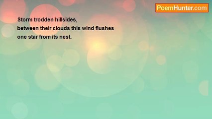 Val Morehouse's Haiku: A Stormy Night's Hidden Star 🌌