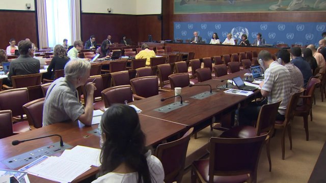 UN Human Rights Commission reports on Iraq casualties