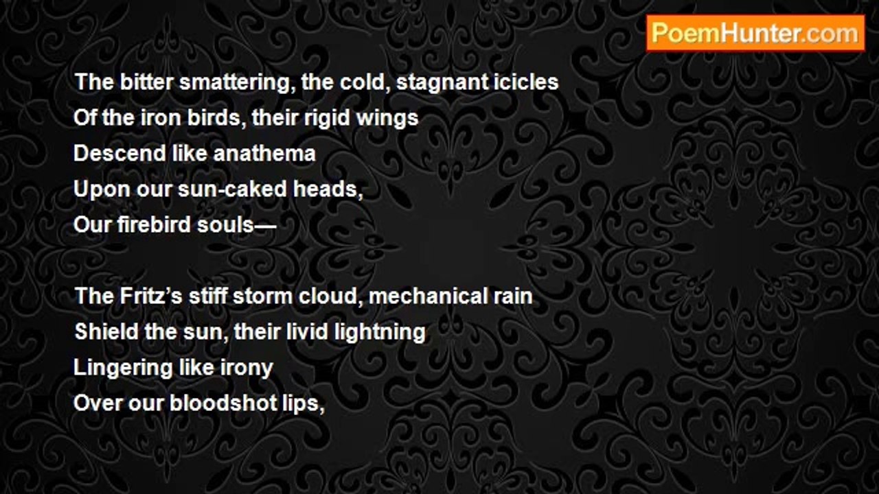 Jonzo Bandwagoner - The Firebirds